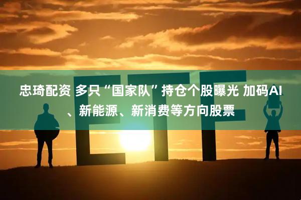 忠琦配资 多只“国家队”持仓个股曝光 加码AI、新能源、新消费等方向股票