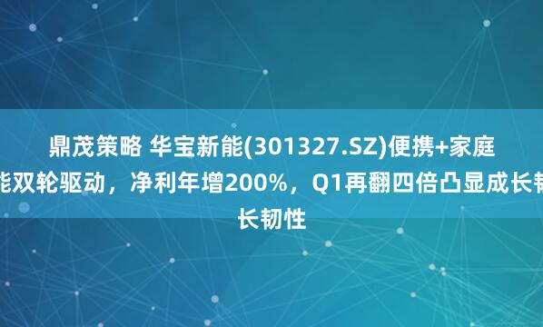 鼎茂策略 华宝新能(301327.SZ)便携+家庭储能双轮驱动，净利年增200%，Q1再翻四倍凸显成长韧性