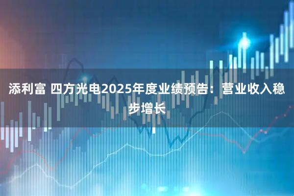 添利富 四方光电2025年度业绩预告：营业收入稳步增长