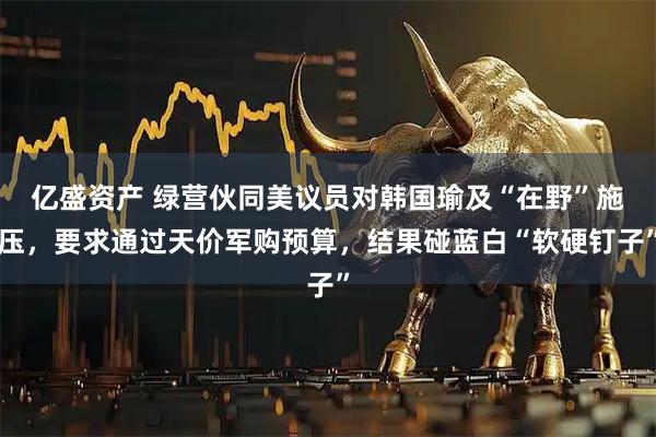 亿盛资产 绿营伙同美议员对韩国瑜及“在野”施压，要求通过天价军购预算，结果碰蓝白“软硬钉子”